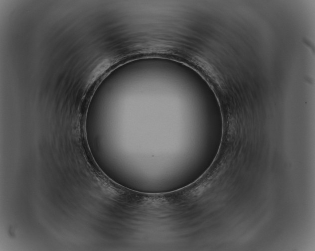 X0000093380978200710191131