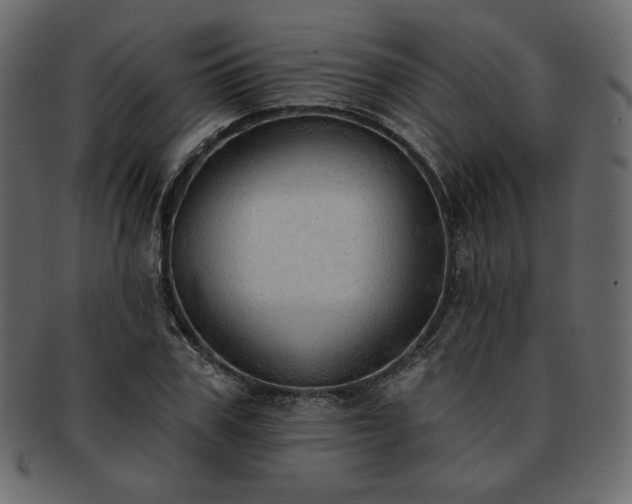 X0000093380979200710191131