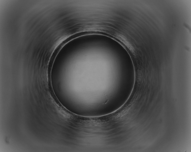 X0000093380980200710191131