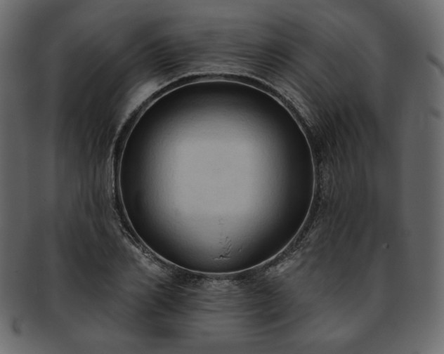 X0000093380982200710191131