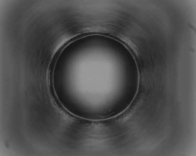 X0000093380983200710191131