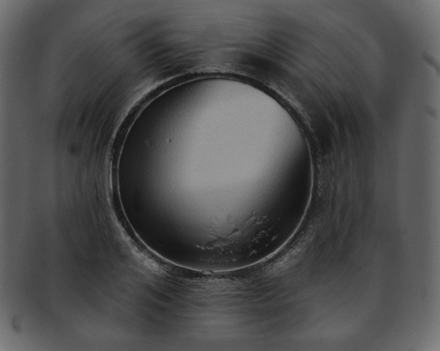 X0000093380984200710191131