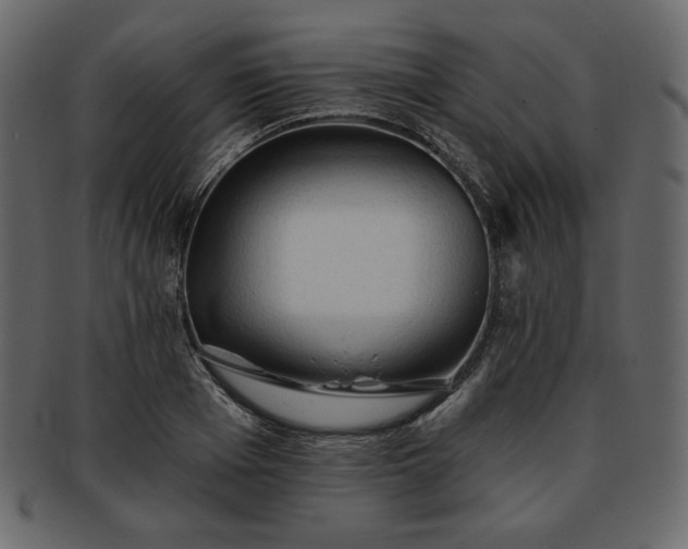 X0000093380985200710191131