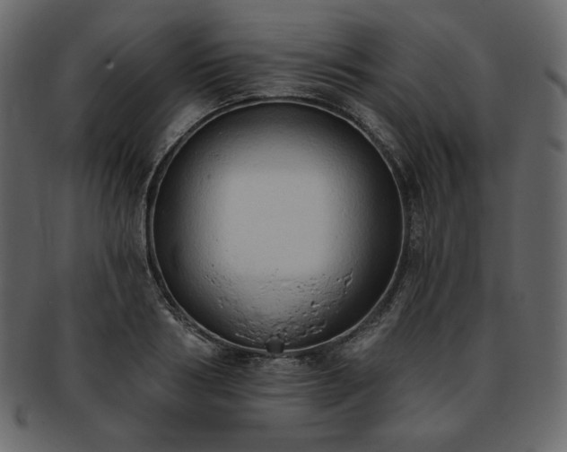 X0000093380986200710191131