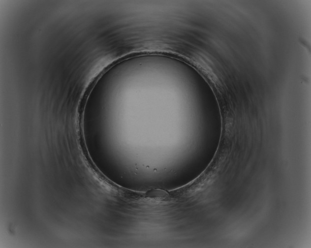 X0000093380990200710191131