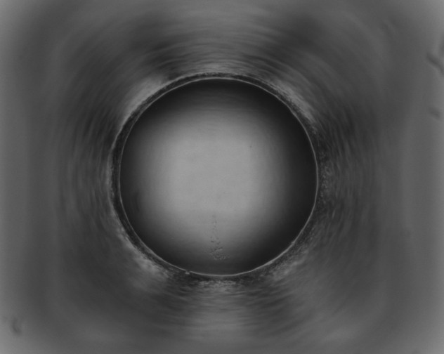 X0000093380991200710191131