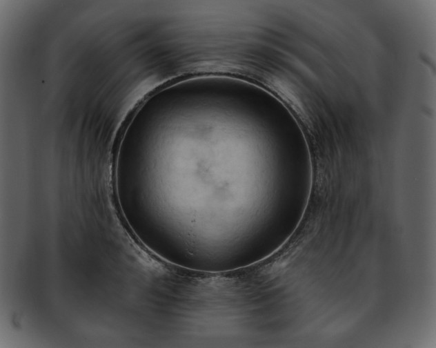 X0000093380992200710191131