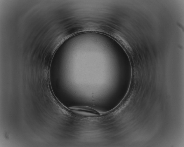 X0000093380993200710191131