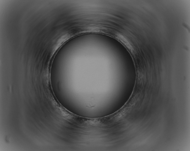 X0000093380994200710191131