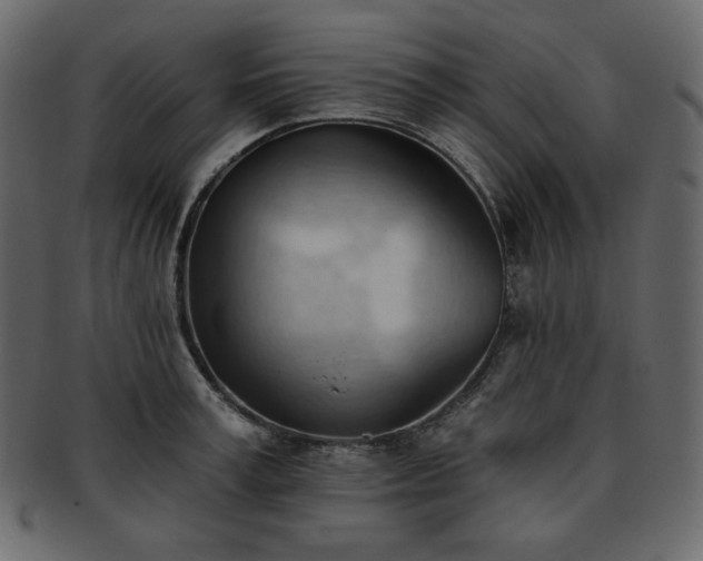 X0000093380995200710191131