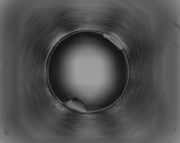 X0000093380996200710191131