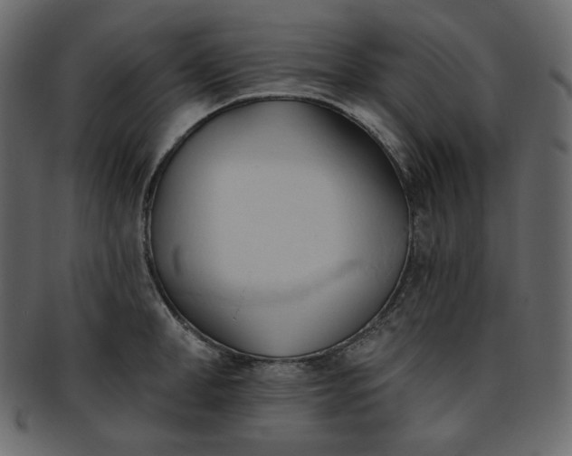 X0000093380998200710191131