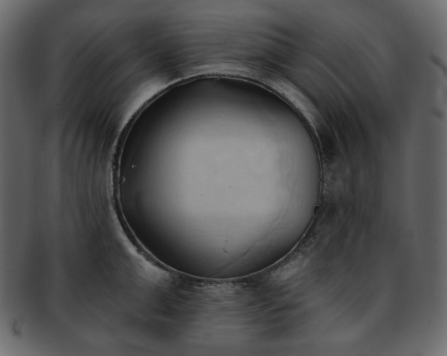 X0000093380999200710191131