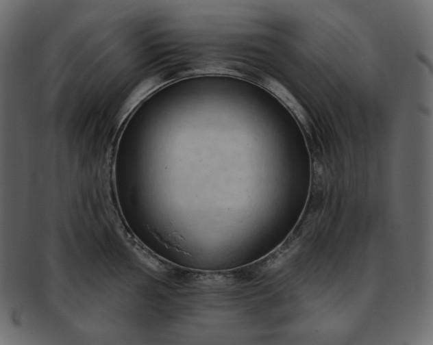 X0000093381002200710191131