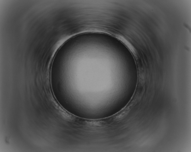 X0000093381004200710191131