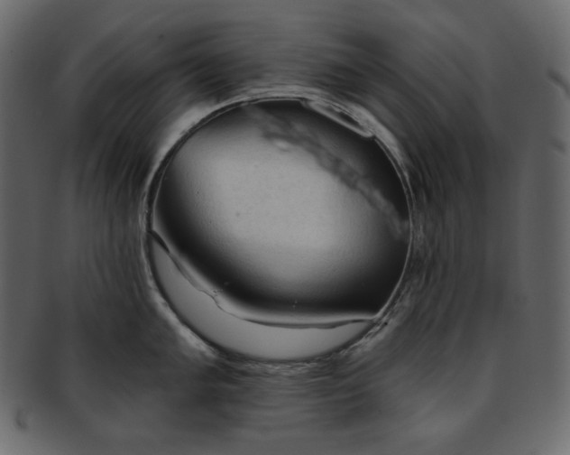 X0000093381005200710191131