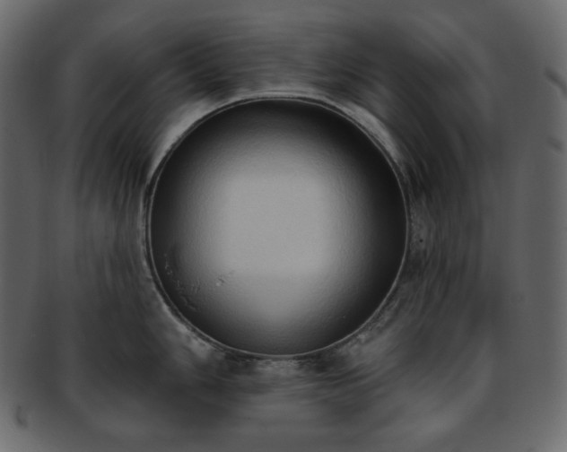 X0000093381006200710191131