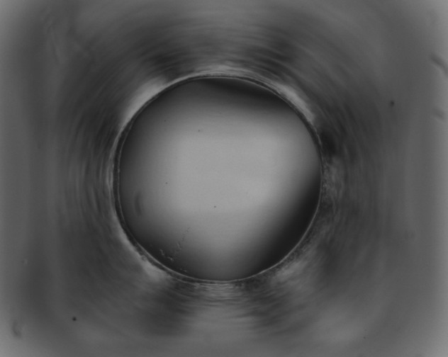 X0000093381007200710191131