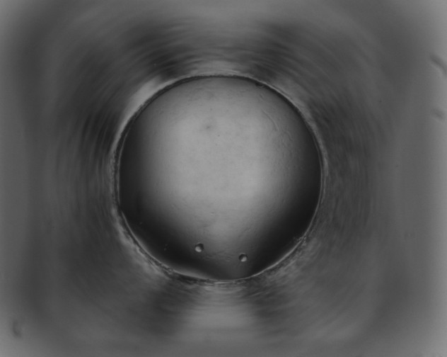 X0000093381008200710191131