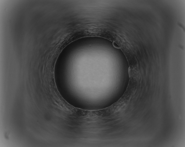 X0000093381009200710191130