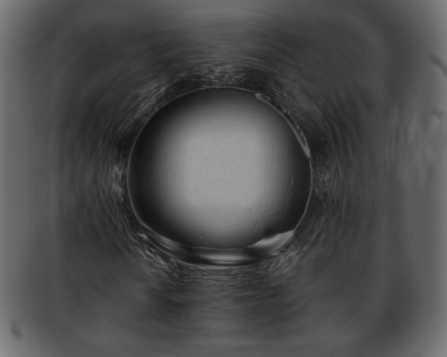 X0000093381010200710191131