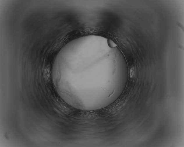 X0000093381011200710191131