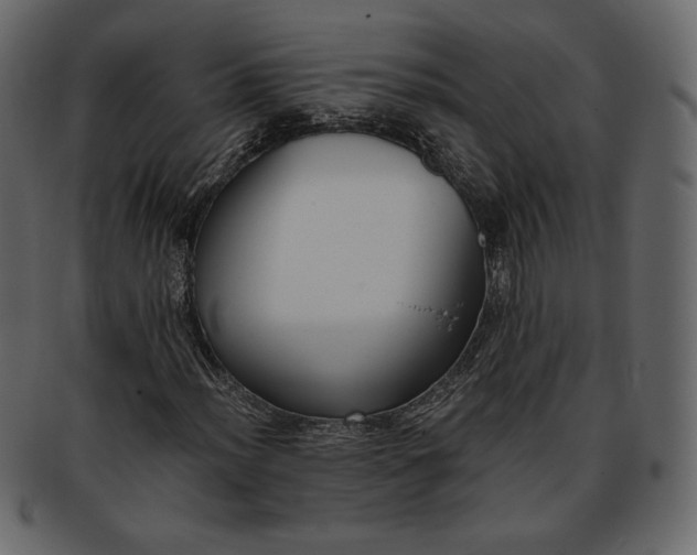 X0000093381012200710191131