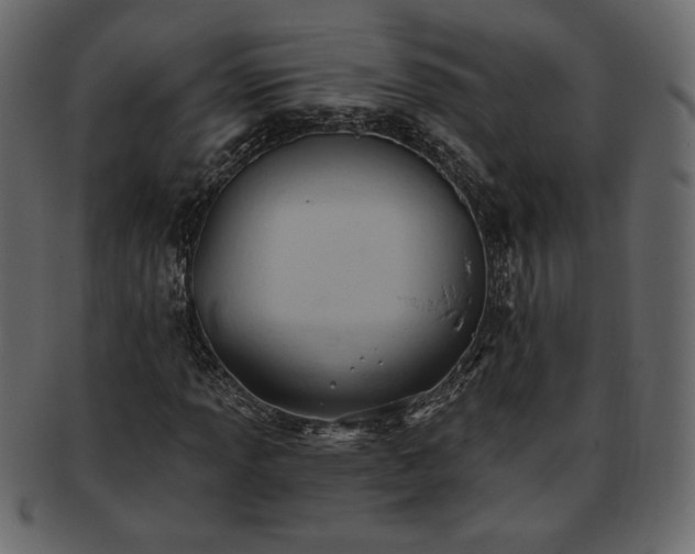 X0000093381013200710191131