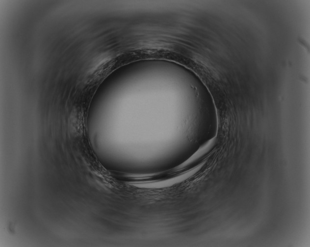 X0000093381014200710191131