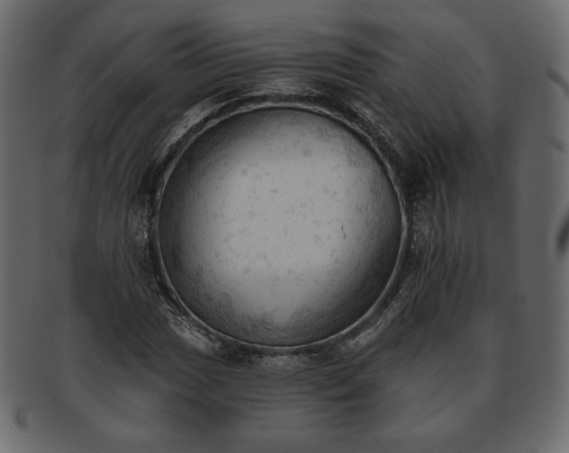 X0000093381017200710191131