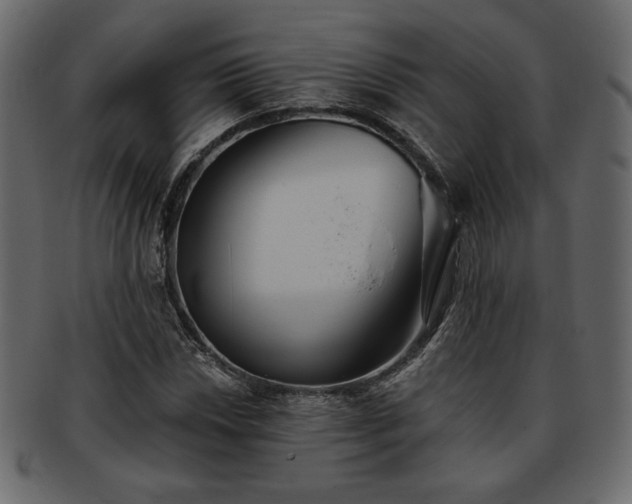 X0000093381018200710191131