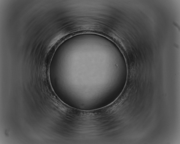 X0000093381019200710191131