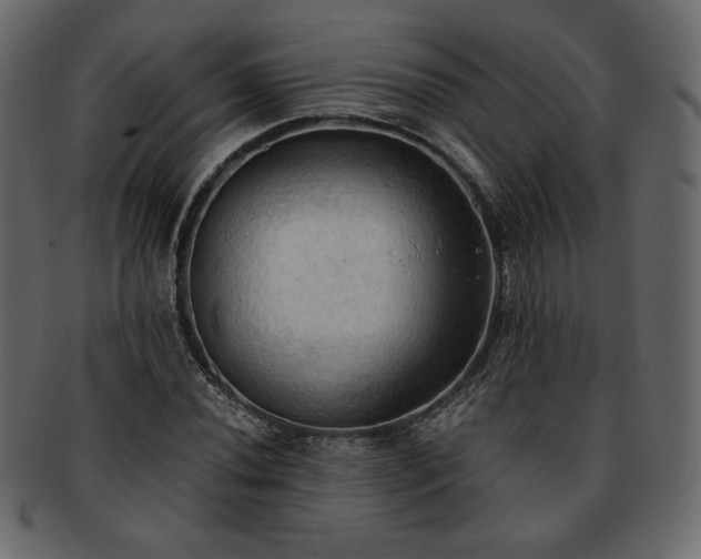 X0000093381020200710191131