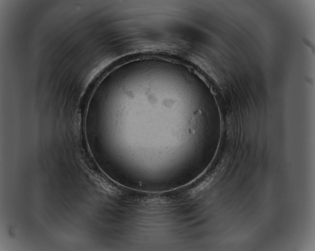 X0000093381021200710191131