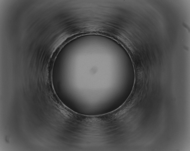 X0000093381023200710191131