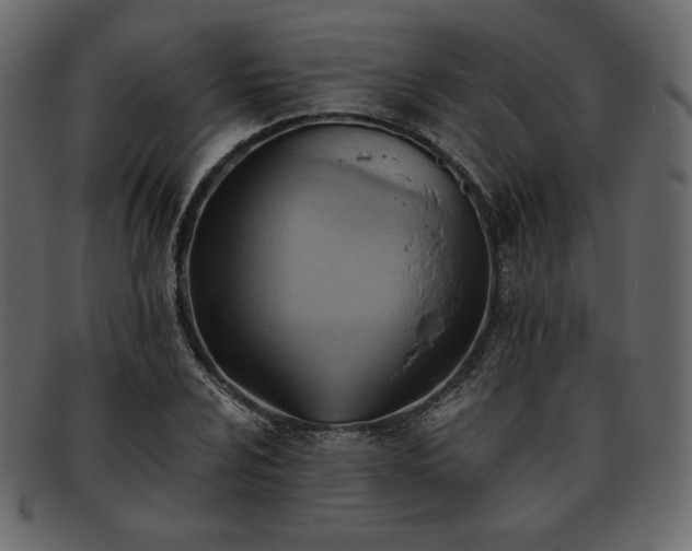 X0000093381024200710191131