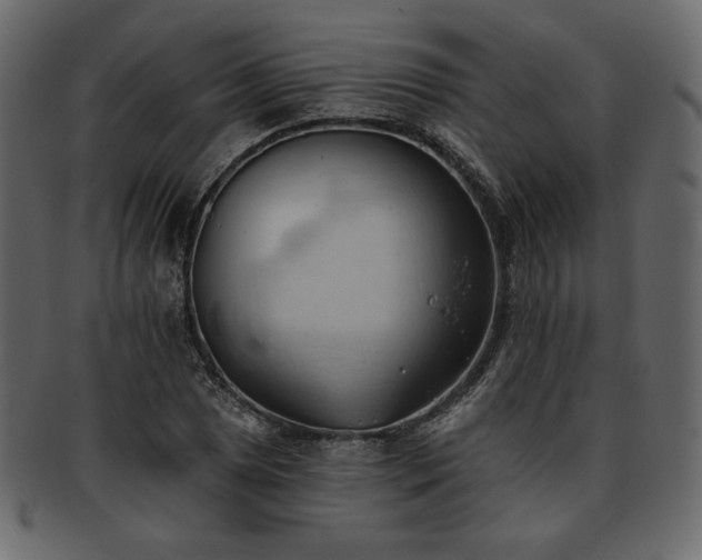 X0000093381025200710191131