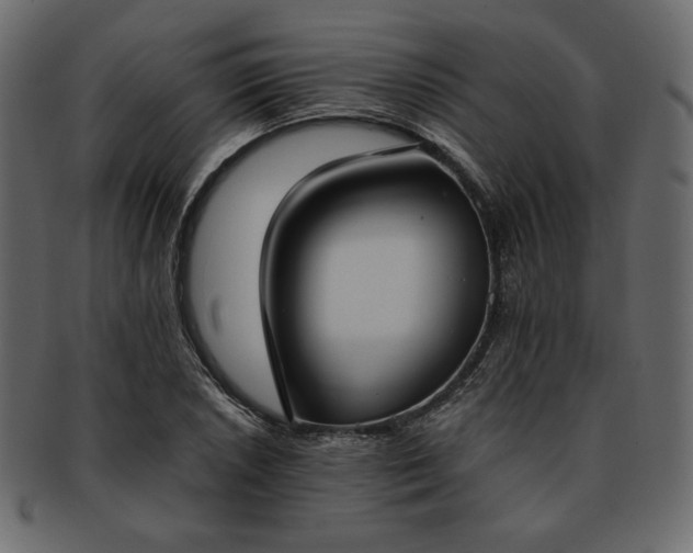 X0000093381026200710191131