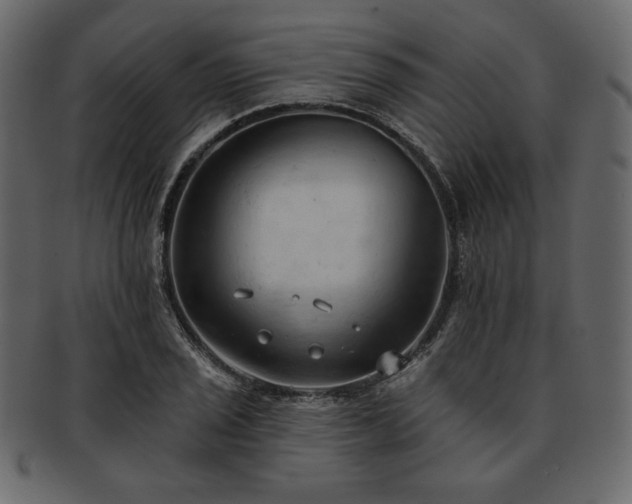 X0000093381029200710191131