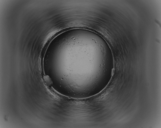 X0000093381030200710191131