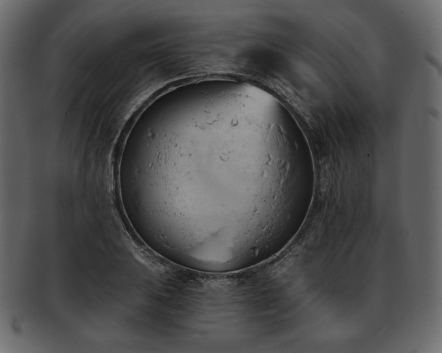 X0000093381031200710191131