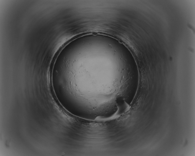 X0000093381032200710191131