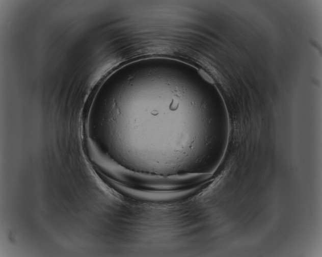 X0000093381034200710191131