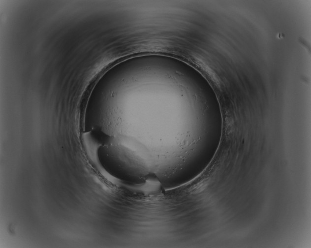 X0000093381035200710191131