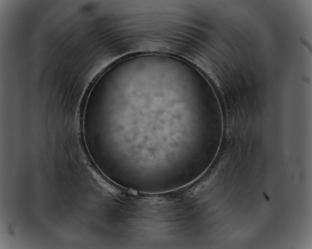 X0000093381037200710191131