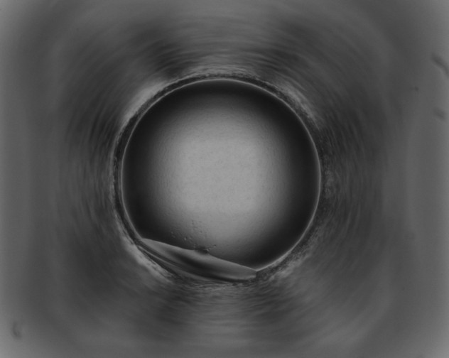 X0000093381038200710191131