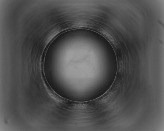 X0000093381039200710191131