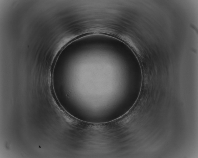 X0000093381040200710191131