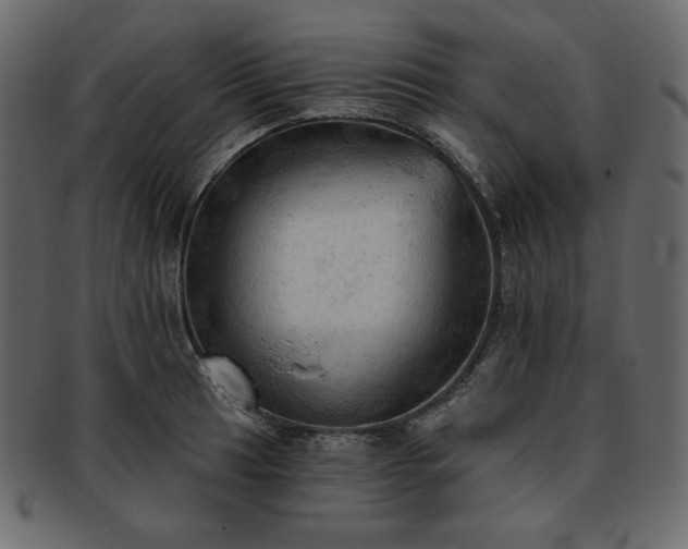 X0000093381041200710191131