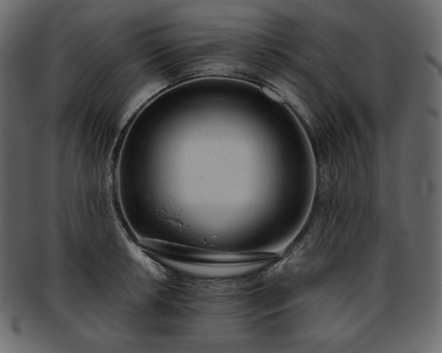 X0000093381042200710191131